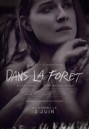 Dans la fort - Into the Forest
