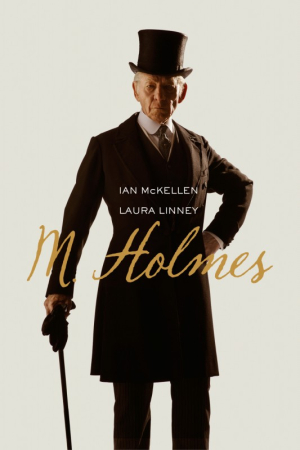 M. Holmes - Mr. Holmes
