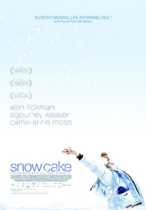 Plaisirs glacs - Snow Cake