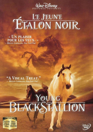 Le jeune talon noir - The Young Black Stallion