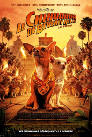 Le Chihuahua de Beverly Hills - Beverly Hills Chihuahua
